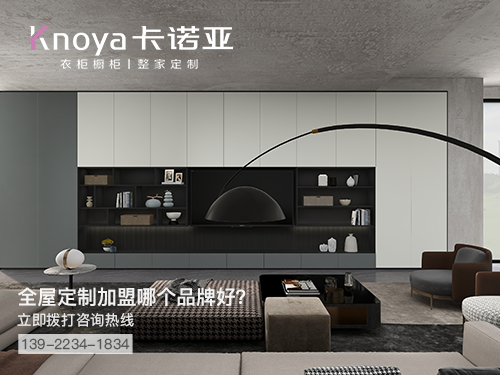 博羅縣全屋定製加盟哪個品牌好?