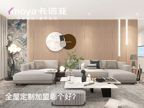 裏水鎮全屋定製加盟