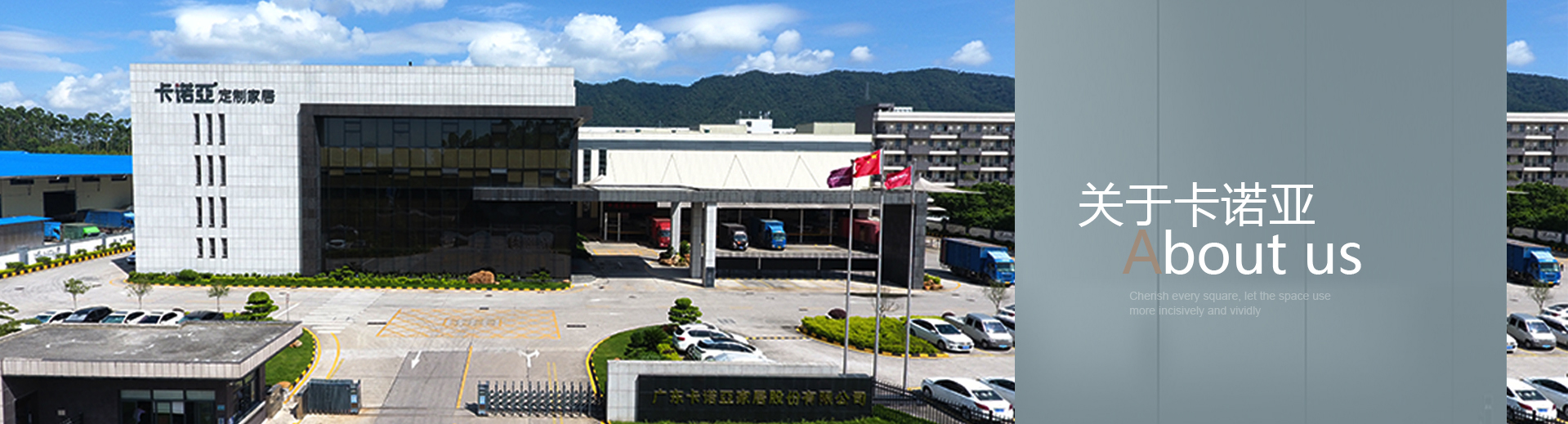 關於91看片软件下载